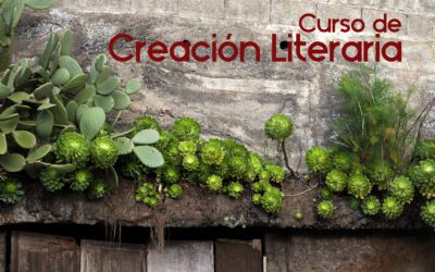 NUEVO CURSO DE CREACIÓN LITERARIA 2017-18